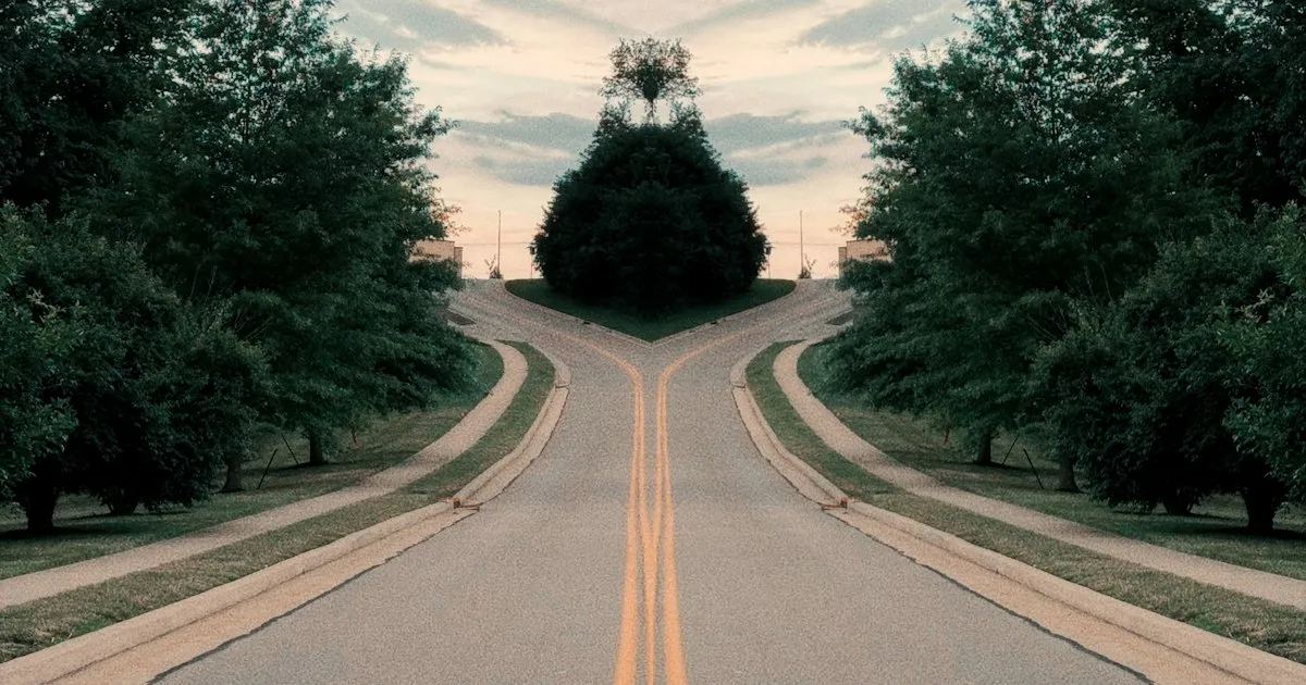 A road splitting into two paths between rows of trees